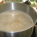 A Comprehensive Look at Single Infusion vs. Step Mash for Advanced Home Beer Brewing