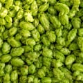 Hop Additions and Timing for Advanced Home Beer Brewing Techniques