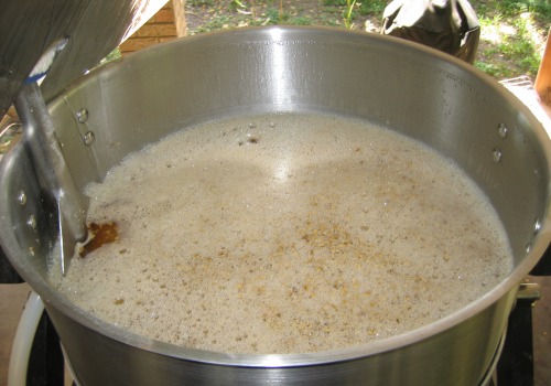 A Comprehensive Look at Single Infusion vs. Step Mash for Advanced Home Beer Brewing